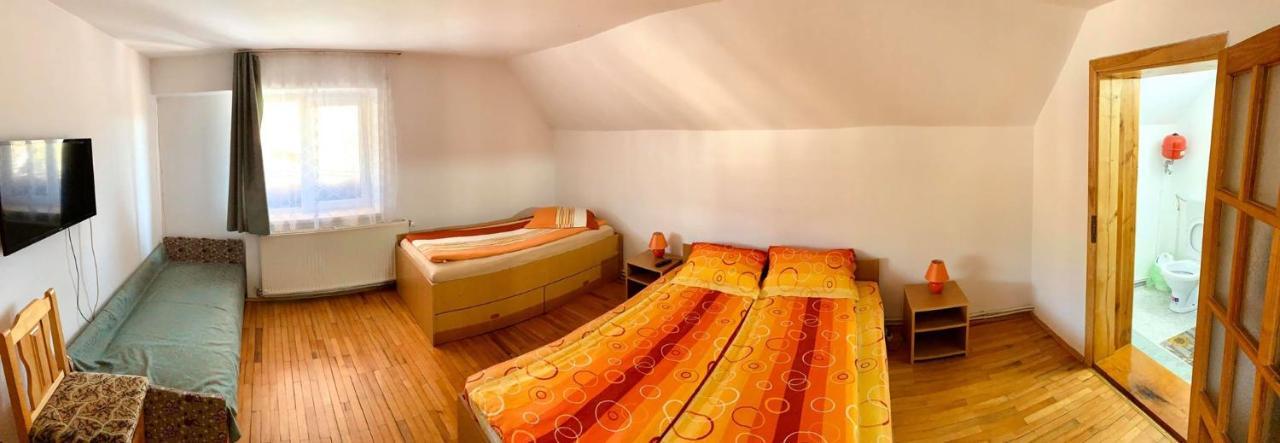 Hotel Casa Debora à Haţeg Extérieur photo