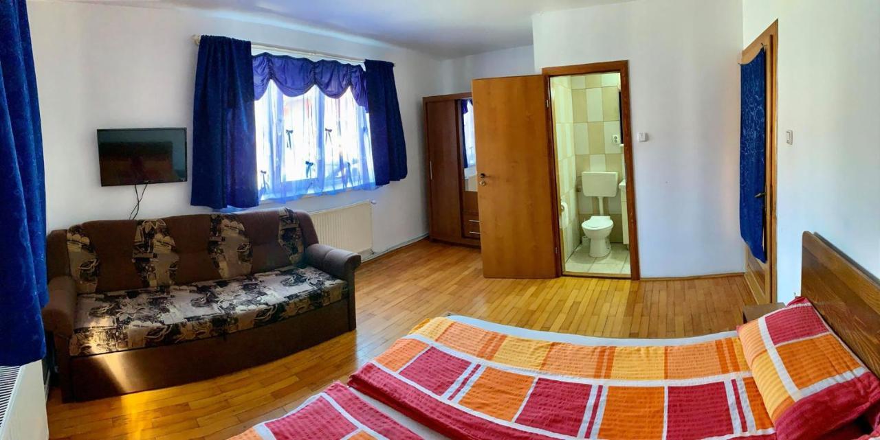 Hotel Casa Debora à Haţeg Extérieur photo
