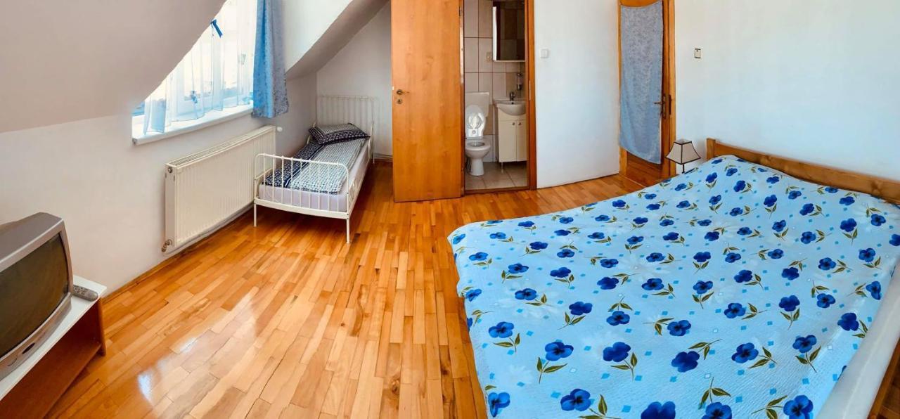 Hotel Casa Debora à Haţeg Extérieur photo