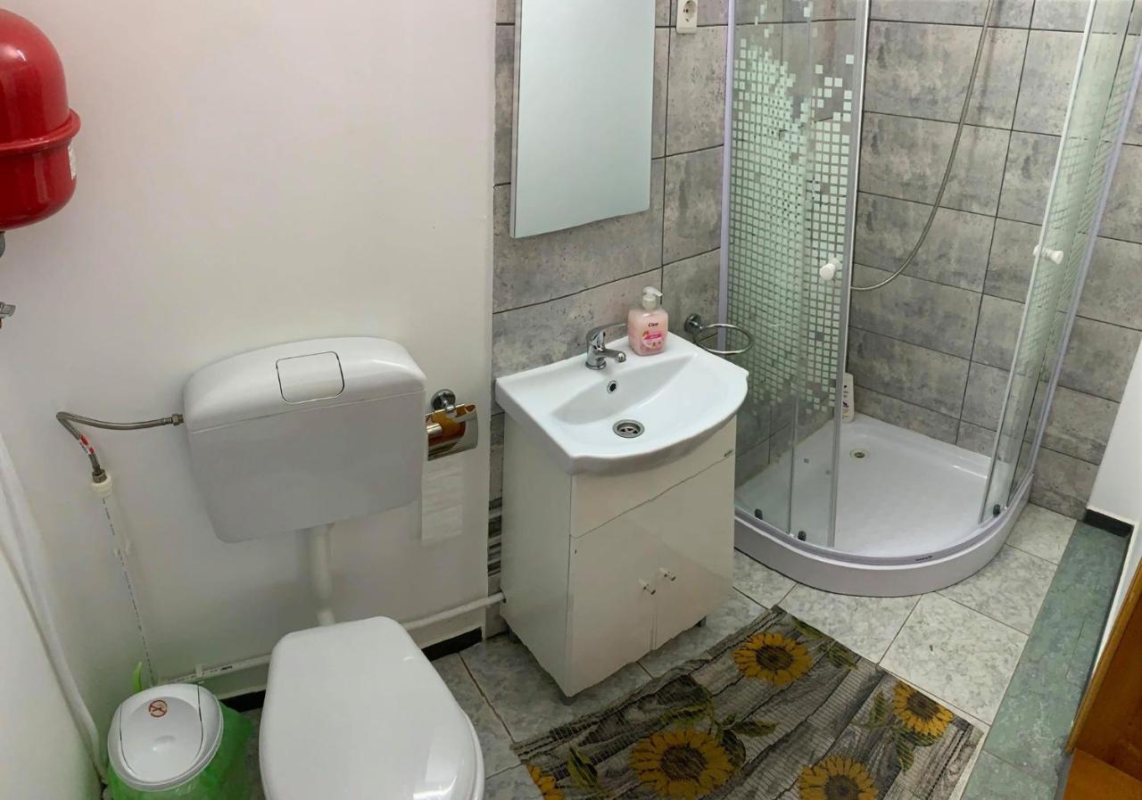 Hotel Casa Debora à Haţeg Extérieur photo